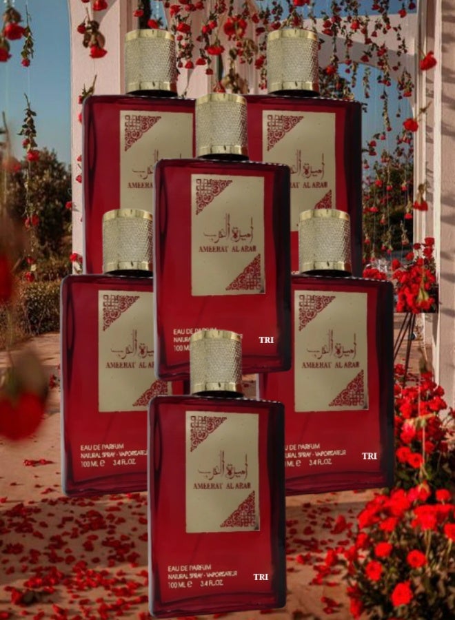 تي أر آي 6 قطع عطر أميرة العرب 100مل - Image 1