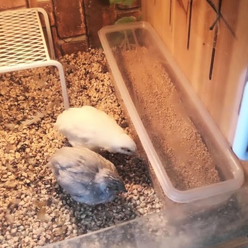 FOIBURELY Button Quail Transparent Feeder Flip Top Seed Food Container (8 Holes) - Image 4