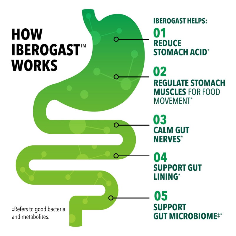 Iberogast Softgels, Herbal Relief of Stomach Upsets: Occasional Indigestion, Bloating, Gas, Nausea, Upset Stomach; 6-Herb Blend with Iberis Amara, Peppermint, Licorice, Lemon Balm; 30ct - Image 3