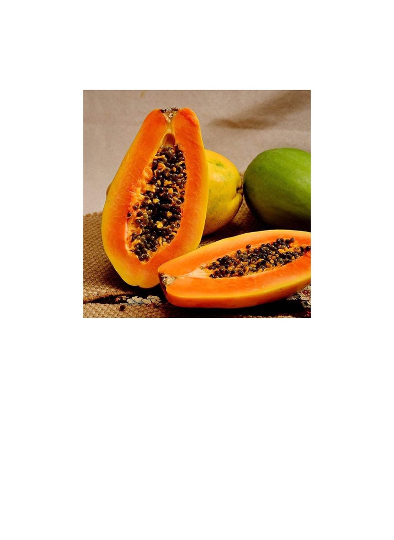Generic 100Pcs Papaya Seeds Red Flesh Fruits Exudes A Light Fragrance Essential Fruit for Entertaining Guests Loved by Children  - Image 1