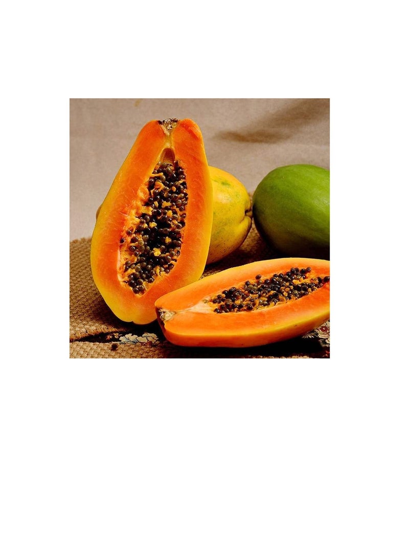 Generic 100Pcs Papaya Seeds Red Flesh Fruits Exudes A Light Fragrance Essential Fruit for Entertaining Guests Loved by Children  - Image 2