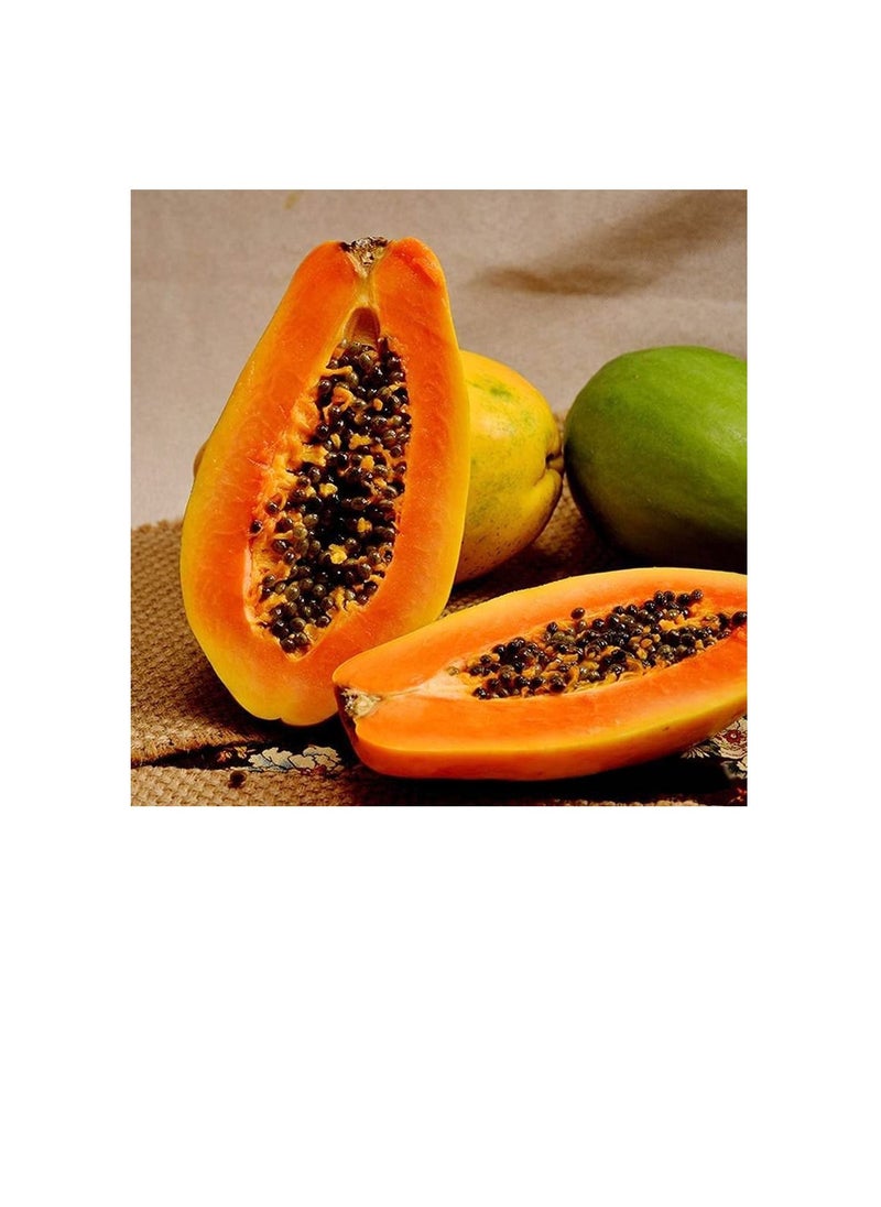 Generic 100Pcs Papaya Seeds Red Flesh Fruits Exudes A Light Fragrance Essential Fruit for Entertaining Guests Loved by Children  - Image 3