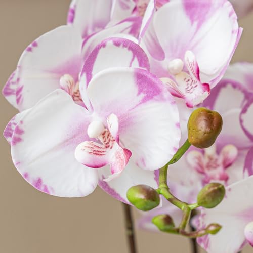 DUYONE 35 Inch Artificial Butterfly Orchid Flowers 4 Pcs with 4 Bundles Leaves Artificial Orchid Flowers Stem Plants for Home Décor (Light Purple 4pcs) - Image 2