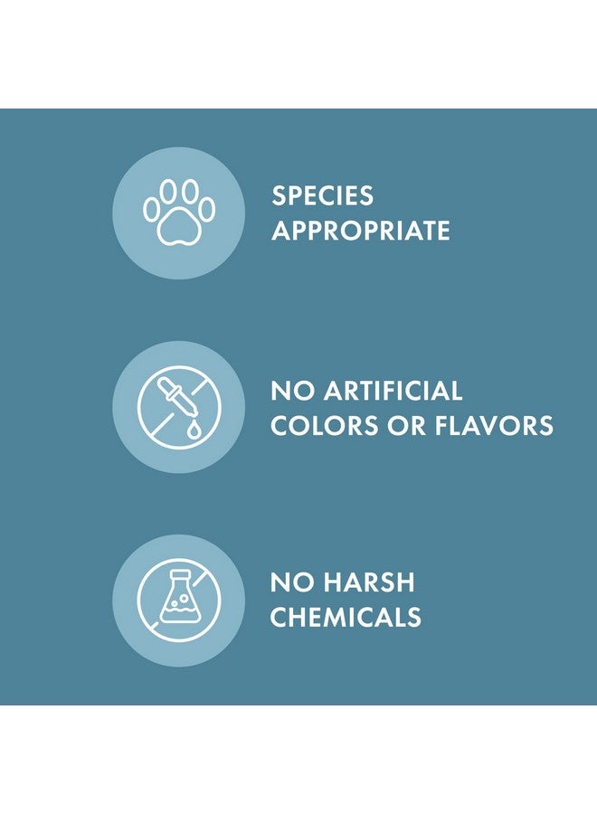 دكتور ميركولا، عظام مضغ الأسنان للكلاب، كبيرة، علبة واحدة (12 عظمة)، عناية بأسنان الكلاب تساعد على تنظيف الأسنان وتنقية النفس، خالية من الكائنات المعدلة وراثيًا، وخالية من الصويا والغلوتين - Image 4