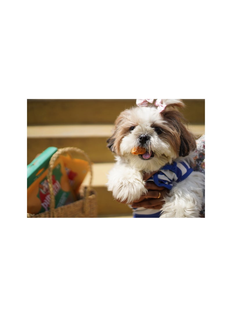 Puprazy Yak cheese puffed popcorn nuggets| Puppies, Adult dogs| Low fat - Image 2