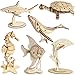 iCHONY 3D Wooden Sea Animal Puzzle 6 Piece Set Wood Sea Animals Skeleton Assembly Model Kits Wooden Crafts DIY Brain Teaser Puzzle STEM Toys Gifts for Adults Teens Birthday Gifts Christmas - Image 3