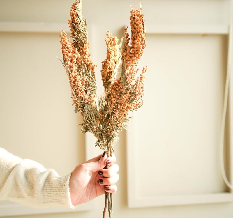 Arte Casa Arte Casa Dried Flower Dried Mimosa Longlasting Bright and Vibrant Floral Arrangement Gift for Special Occasions Anniversary Valentine 3 Stems with Multiple Branches Yellow Green  - Image 4