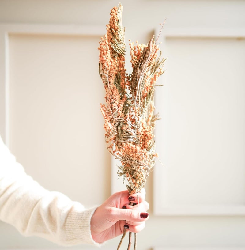 Arte Casa Arte Casa Dried Flower Dried Mimosa Longlasting Bright and Vibrant Floral Arrangement Gift for Special Occasions Anniversary Valentine 3 Stems with Multiple Branches Yellow Green  - Image 2
