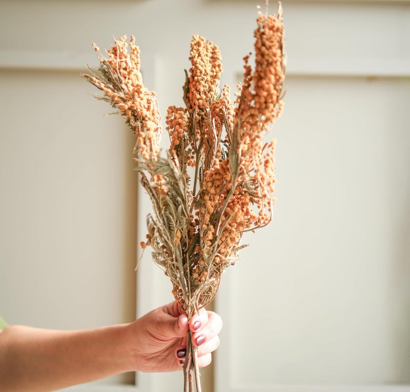 Arte Casa Arte Casa Dried Flower Dried Mimosa Longlasting Bright and Vibrant Floral Arrangement Gift for Special Occasions Anniversary Valentine 3 Stems with Multiple Branches Yellow Green  - Image 3