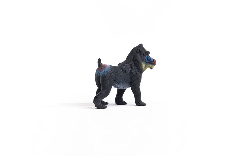 Schleich Wild Life Realistic Mandrill Monkey Figurine Authentic and Highly Detailed Wild Animal Toy Durable for Education and Fun Play for Kids Perfect for Boys and Girls Ages 3 - Image 5
