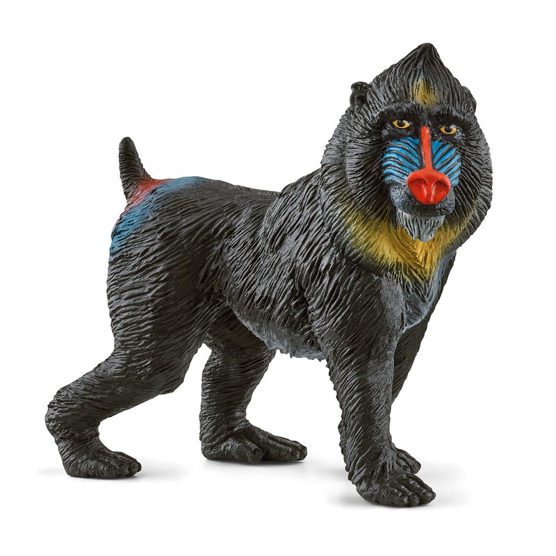 Schleich Wild Life Realistic Mandrill Monkey Figurine Authentic and Highly Detailed Wild Animal Toy Durable for Education and Fun Play for Kids Perfect for Boys and Girls Ages 3 - Image 2