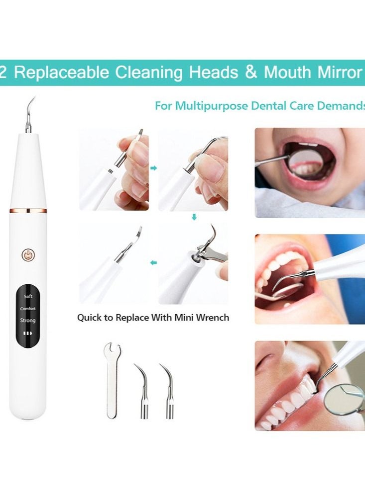 Joshberg - Ultrasonic Dental Scaler For Teeth Tartar Stain Tooth Calculus Remover Electric Sonic Teeth Plaque Cleaner Dental Stone Removal, Replaceable Clean Heads- Safe - Image 1