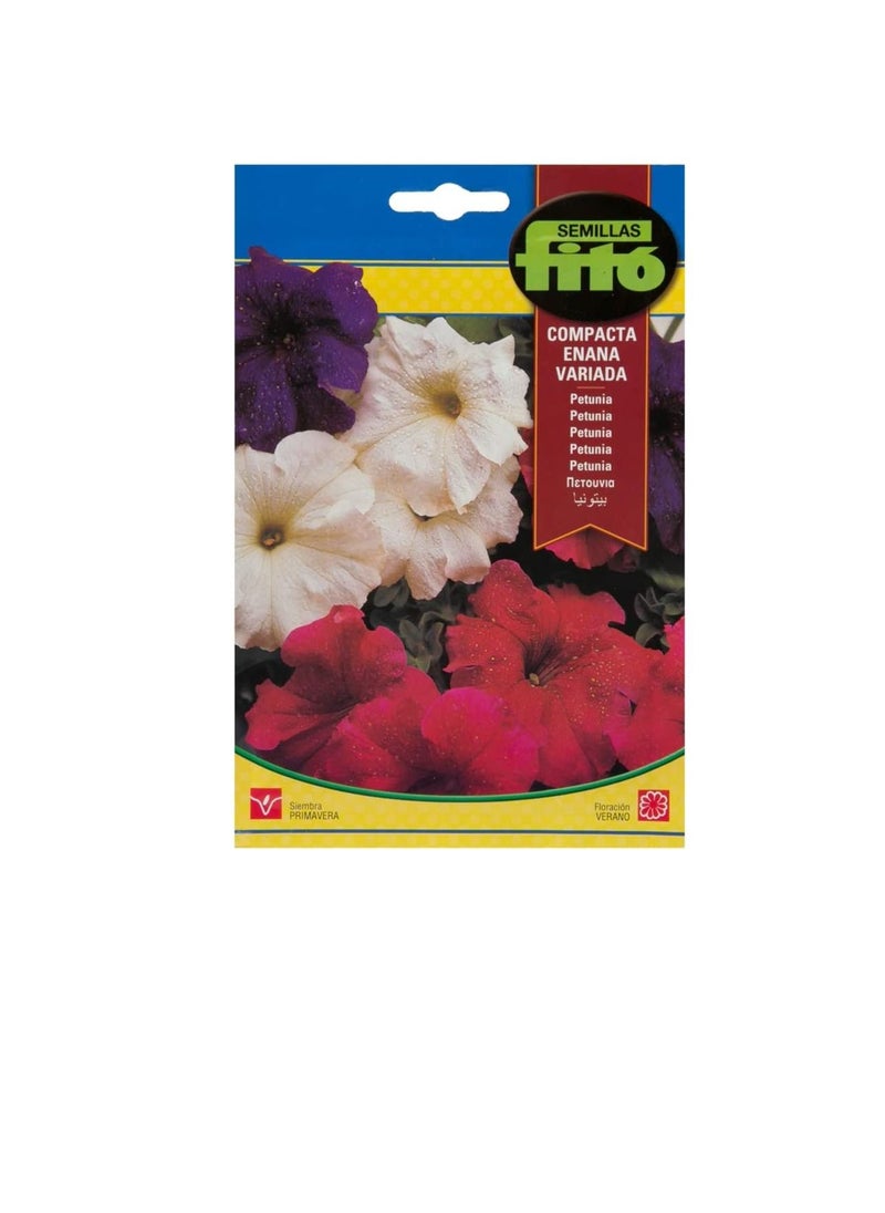 Fito Seeds Petunia Dwarf Compact Mix Ref no. 671 Fito  - Image 3