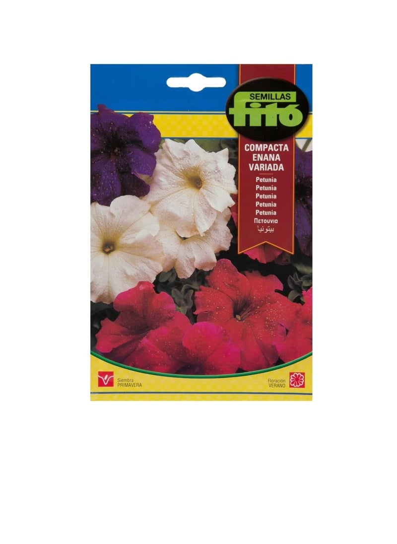 Fito Seeds Petunia Dwarf Compact Mix Ref no. 671 Fito  - Image 2