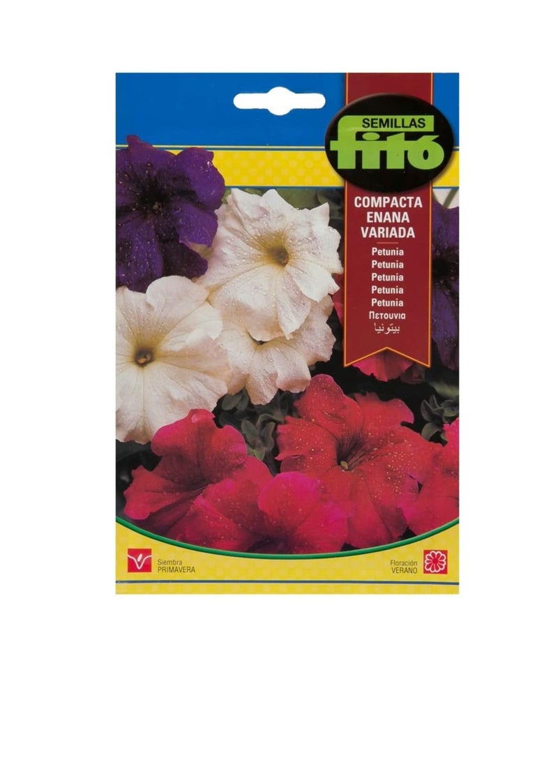 Fito Seeds Petunia Dwarf Compact Mix Ref no. 671 Fito  - Image 1