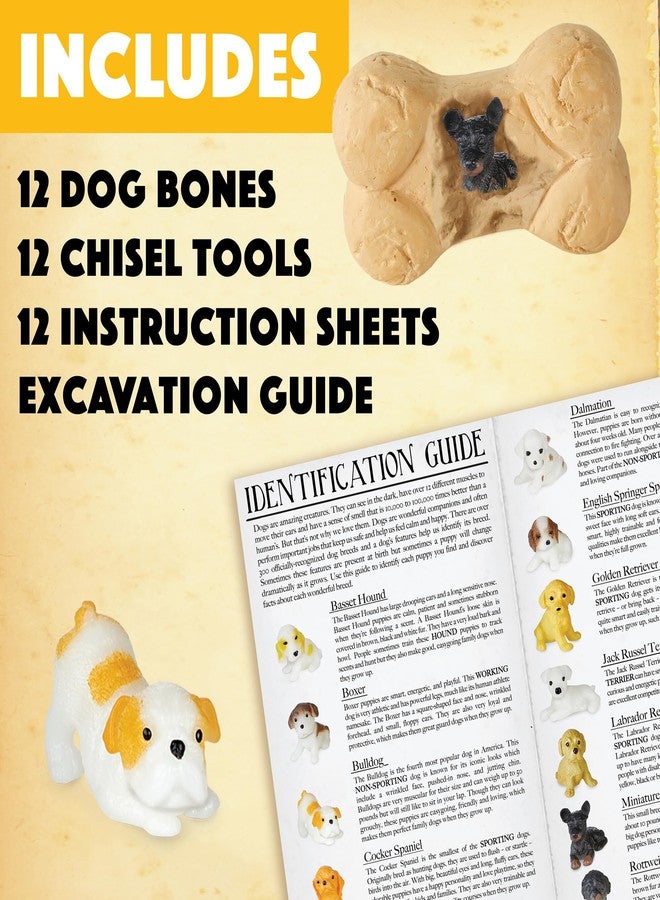 MindWare Dig it Up! Puppies Excavation Kit - Educational Toys for Kids 4 and Up - Dig Kit with 12 Bones, 12 Puppy Figurines, 12 Chisels - Ideal for Group Activities, Events or Classroom Brain Breaks - Image 4