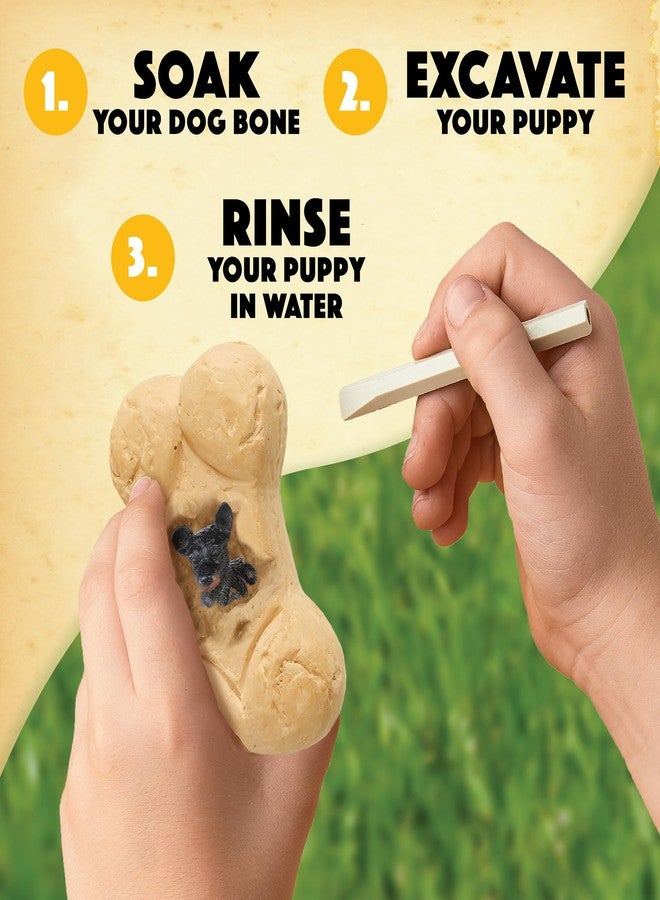 MindWare Dig it Up! Puppies Excavation Kit - Educational Toys for Kids 4 and Up - Dig Kit with 12 Bones, 12 Puppy Figurines, 12 Chisels - Ideal for Group Activities, Events or Classroom Brain Breaks - Image 5