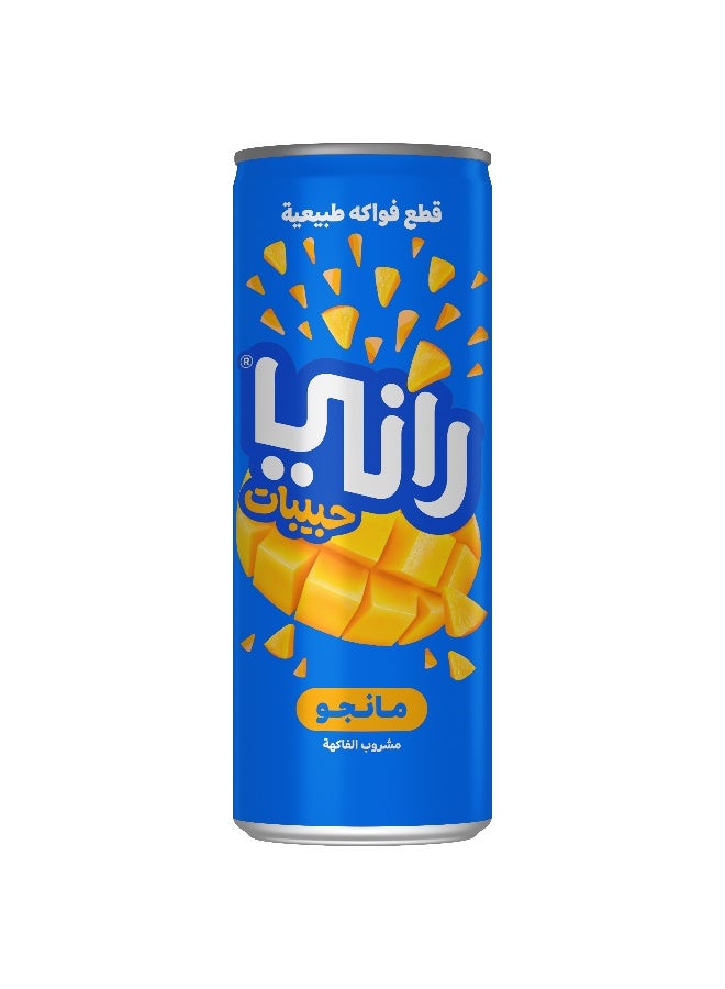Rani عصير مانجو راني مع ف float 240 مل في علبة × 24 عبوة - Image 4