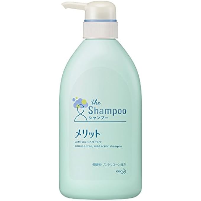 Merit SHAMPOO 480ML - Image 1