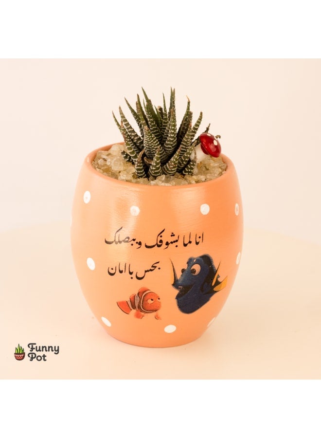 بوت صبار طبيعي