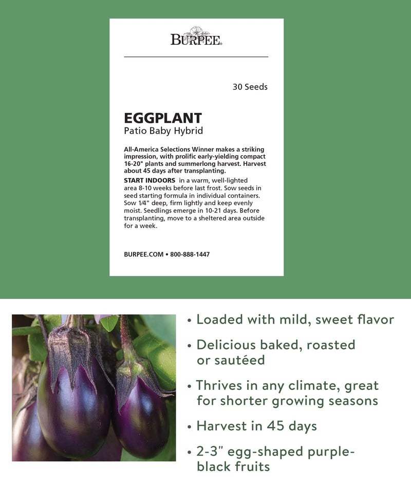 Burpee Patio Baby Eggplant Seeds 30 seeds - Image 2