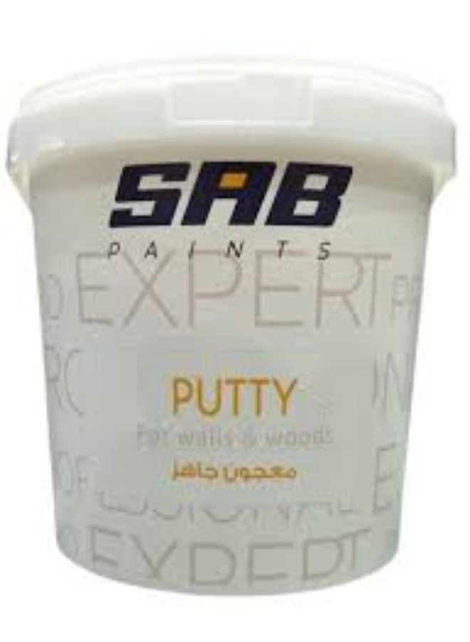SAB Expert Putty for Walls & Woods - Image 1