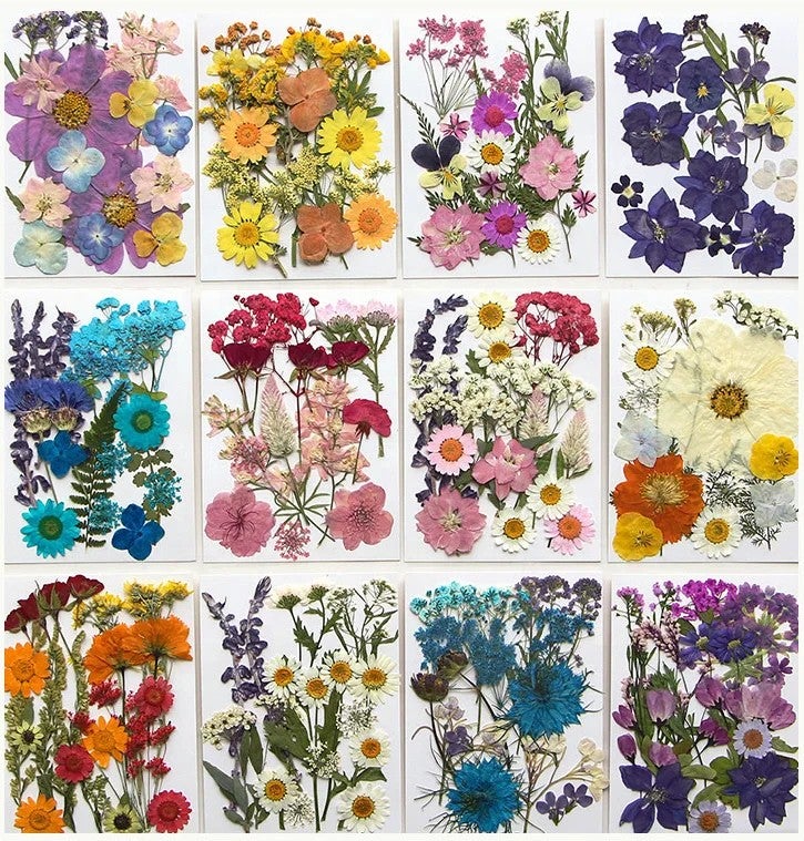 Bluejw 16-23pcs/pack Colorful Dried Plants Pressed Botanical Mix for DIY Craft, Gift Card, Wedding, Bride Face Decoration, Candle & Soap Making, Picture Frame Embellishment - Image 4