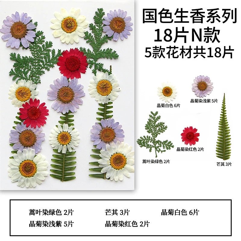 Bluejw 16-23pcs/pack Colorful Dried Plants Pressed Botanical Mix for DIY Craft, Gift Card, Wedding, Bride Face Decoration, Candle & Soap Making, Picture Frame Embellishment - Image 1
