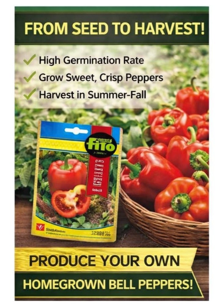 Fito Red Bell Pepper Seeds Maor – Premium Non-GMO Sweet Pepper Seeds for Home Garden, Hydroponic & Outdoor Growing, High Germination Capsicum Seeds for Planting, Sweet Red Pepper Vegetable Seeds - Image 4
