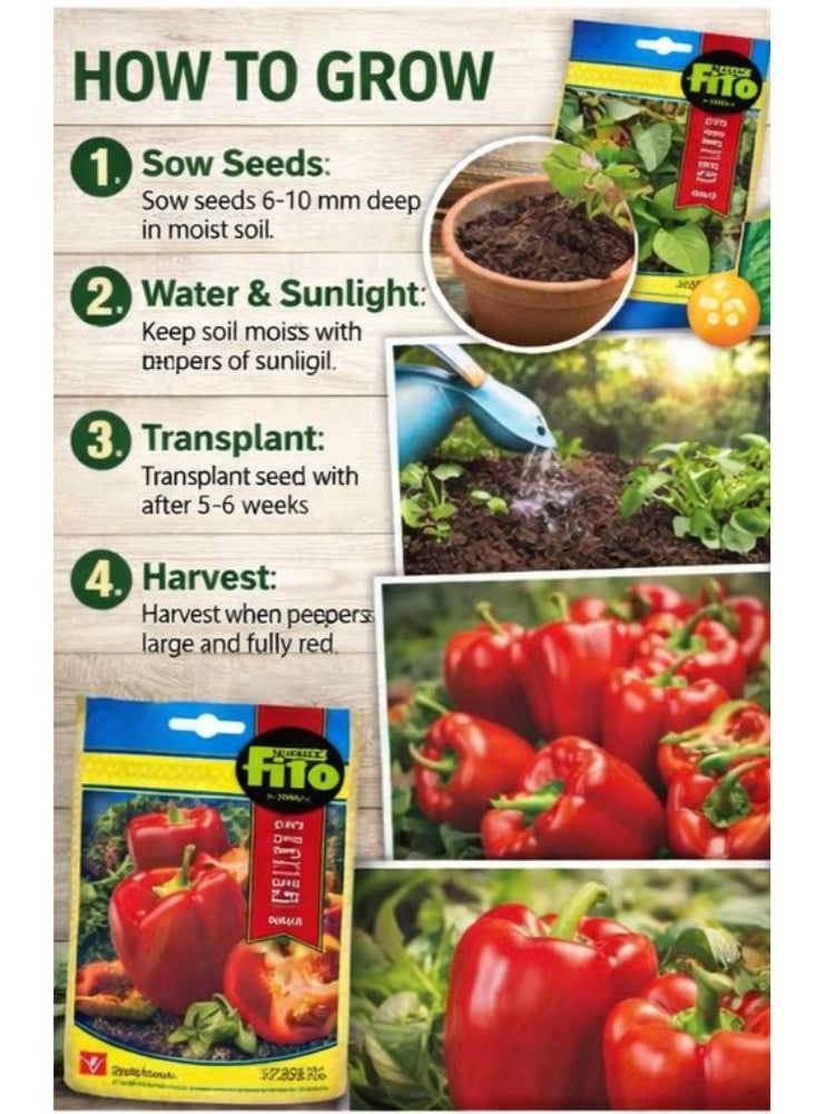 Fito Red Bell Pepper Seeds Maor – Premium Non-GMO Sweet Pepper Seeds for Home Garden, Hydroponic & Outdoor Growing, High Germination Capsicum Seeds for Planting, Sweet Red Pepper Vegetable Seeds - Image 3