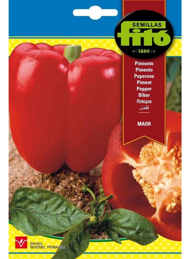 Fito Red Bell Pepper Seeds Maor – Premium Non-GMO Sweet Pepper Seeds for Home Garden, Hydroponic & Outdoor Growing, High Germination Capsicum Seeds for Planting, Sweet Red Pepper Vegetable Seeds - Image 1