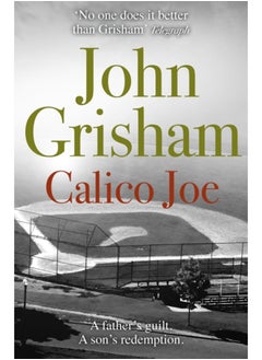 Calico Joe : An unforgettable novel about childhood, family, conflict and guilt, and forgiveness 