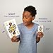 PlayMonster Five Crowns Giant Card Games  Jumbo Playing Cards Card Game for Kids and Adults Family Game Night 5 Suited Rummy Style Card Game Ages 8 - Image 4