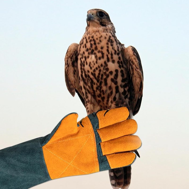 قفازات التعامل مع الحيوانات - Image 5