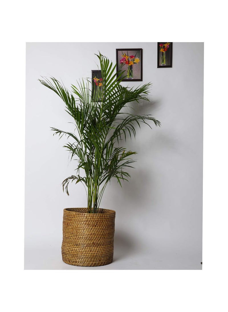 Akway AKWAY Bamboo Planter & Rattan Storage Basket | Cane Indoor Outdoor Garden Patio Terrace Balcony Table Shelf Organizer | (14 x 14 x 14 Inch, Beige) (Plant not Included)  - Image 1