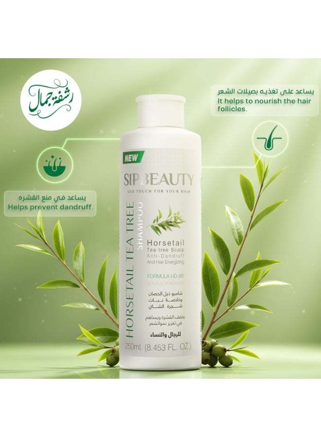سيب بيوتي مجموعة شامبو ضد القشرة بخلاصه طبيعية من نبات الشاي وذيل الحصان 250 مل قطعتين - Image 3