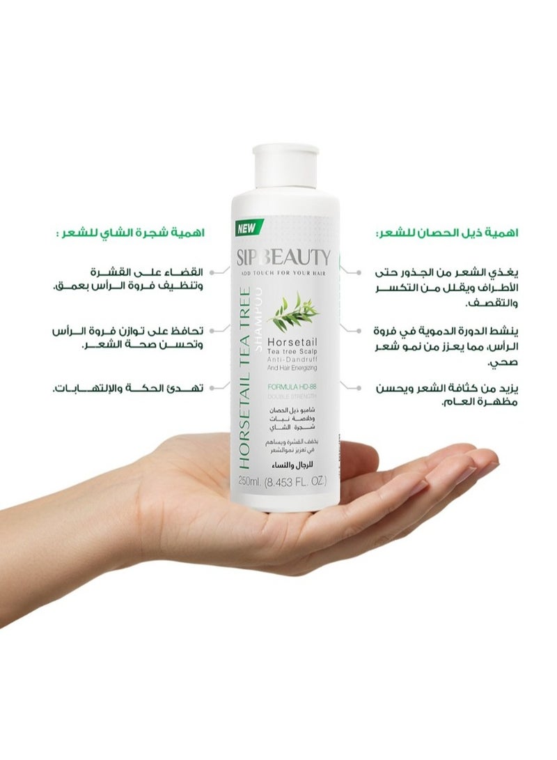 سيب بيوتي مجموعة شامبو ضد القشرة بخلاصه طبيعية من نبات الشاي وذيل الحصان 250 مل قطعتين - Image 5