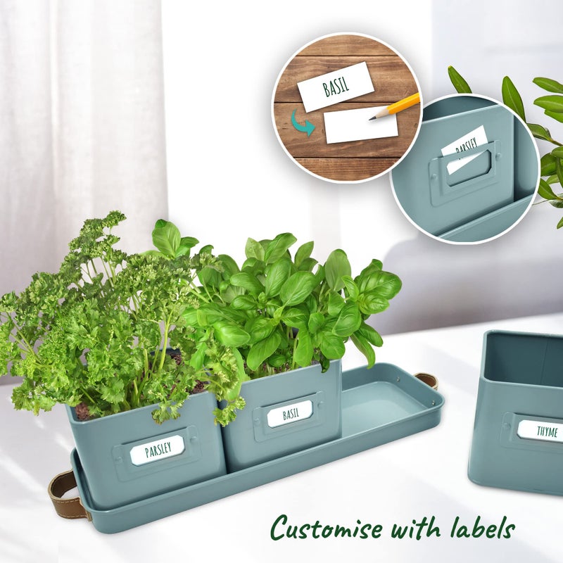 volila Herb Planter Indoor - Set of 3 Teal Blue Indoor Herb Garden Pots for Plants with Leather Handled Tray - Window Sill Plant Shelf - Herb Pots with Drainage Holes and Labels - Image 3