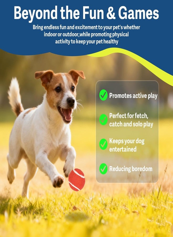 PIKASEN 1.5" Small Tennis Balls for Dogs - Cat Toy 3 Colours and Pack of 12 Mini Tennis Balls for Small Dogs - Image 4