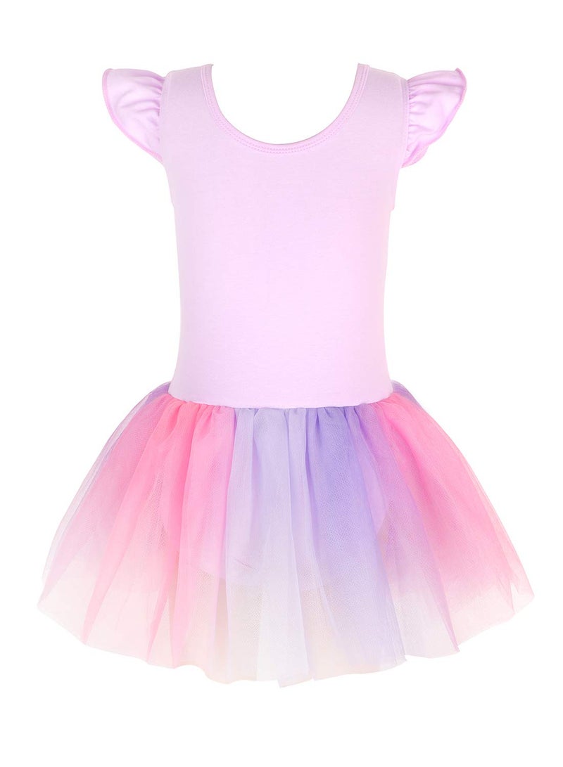 EQSJIU Ballet Leotards For Toddler Girls 3t 4t With Tutu Pinkish Purple Unicorn Tulle Skirts Dance Dresses 3-4t Cute Princess Dress - Image 3