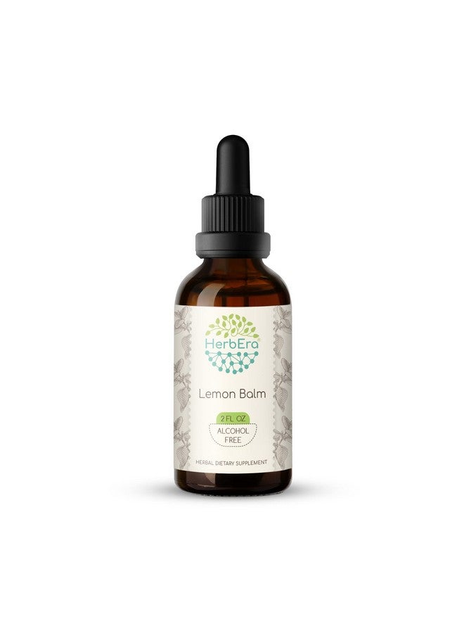 HerbEra Lemon Balm B60 Alcoholfree Herbal Extract Tincture Concentrated Liquid Drops Natural Lemon Balm (Melissa Officinalis) 2 Fl Oz - Image 2