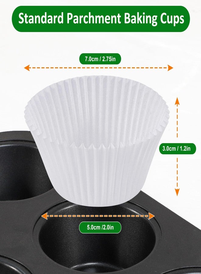 Caperci 225pcs White Parchment Cupcake Liners - Standard Muffin Liners Baking Cups, Parchment Paper Cupcake Wrappers with Excellent Greaseproof & Balanced Non-Stick, No Smell, Food Grade (White) - Image 5