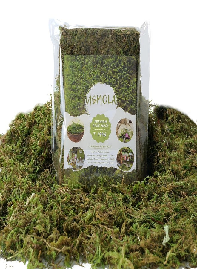 USMOLA Fake Moss, 8 OZ Green Moss for Potted Plants, Artificial Moss for DIY Crafts Home Decor Table Centerpieces Wedding Decoration (Fresh Green 225gr) - Image 1