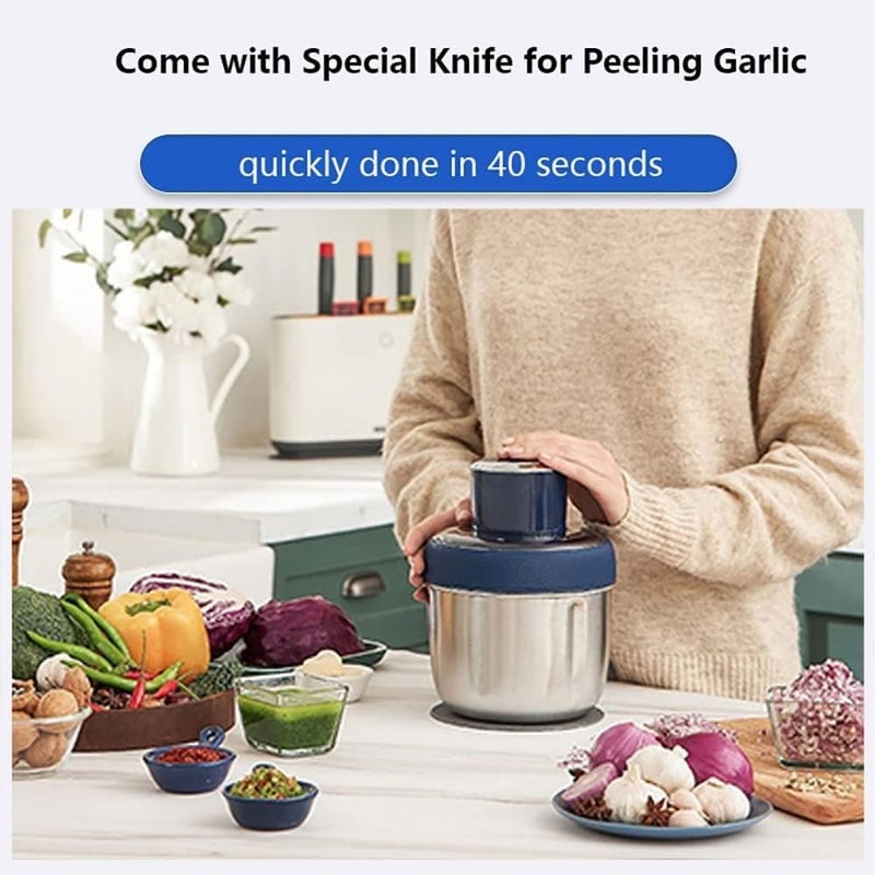 REMICH Meat Grinder Household MultiFunction Minced Vegetable Filling Cooking Machine 25L Mincer Electric Multi Chopper with 2 Speed Levels 800W Food Chopper Vegetable Fruit Onion Cutter - Image 2