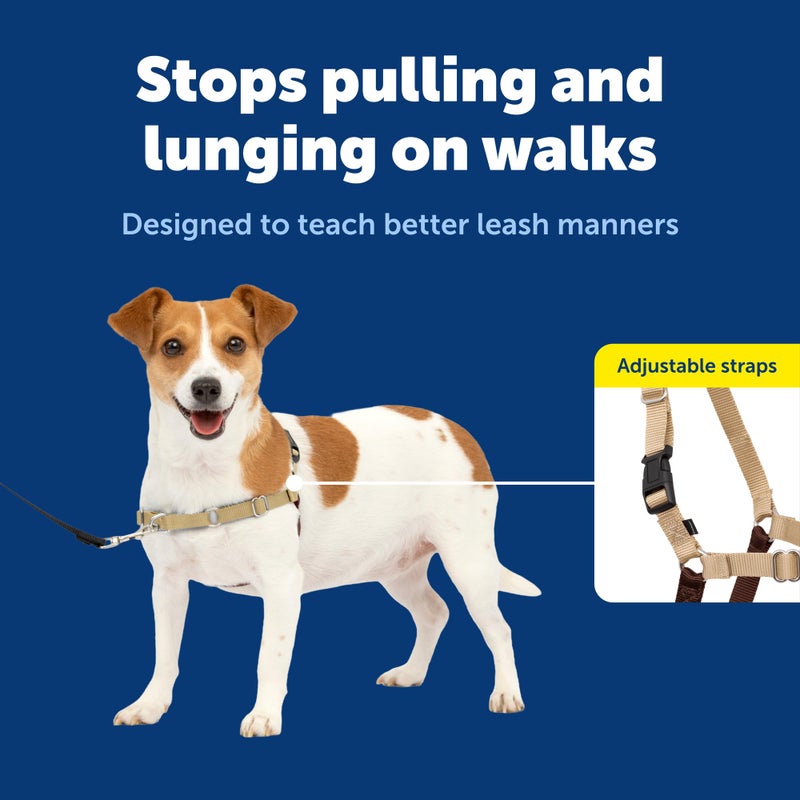 PetSafe Easy Walk Harness for Dogs - Pull-Free Walks - Patented Martingale Loop Design - Front Chest Leash Attachment - Comfort Straps - Breathable Harness Design - Small, Fawn/Brown - Image 3
