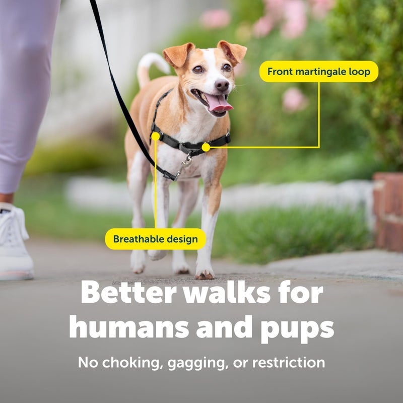 PetSafe Easy Walk Harness for Dogs - Pull-Free Walks - Patented Martingale Loop Design - Front Chest Leash Attachment - Comfort Straps - Breathable Harness Design - Small, Fawn/Brown - Image 4