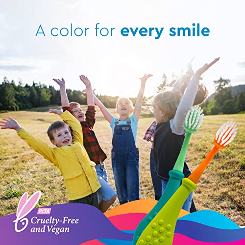 Radius Big Kidz Forever Brush with Replaceable Head Toothbrush for Children 6 Years and Up BPA Free ADA Accepted for Growing Teeth and Gums Right and Left Handed Extra Soft - Image 5