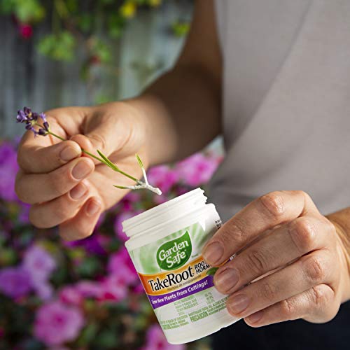 Garden Safe Takeroot Rooting Hormone Powder (Hg-93194) - Image 5