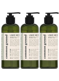 Common Ground All Natural Hand Wash Soap - Paraben & Cruelty Free - Daily - Organic, Vegan, Plant-Based - Botanical Scent & Avocado Oil - For All, Men, Women, Eczema, Sensitive Skin 8.4 Fl Oz (3 Pack)