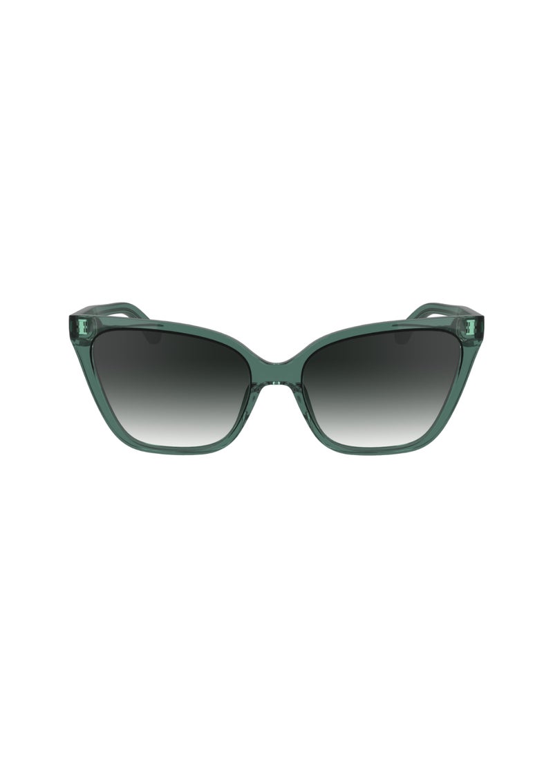 CALVIN KLEIN FULL RIM BIO INJ-G820 CAT EYE CALVIN KLEIN SUN CK24507S  5717 (338) MINT  - Image 1